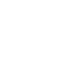 Icon-Blog